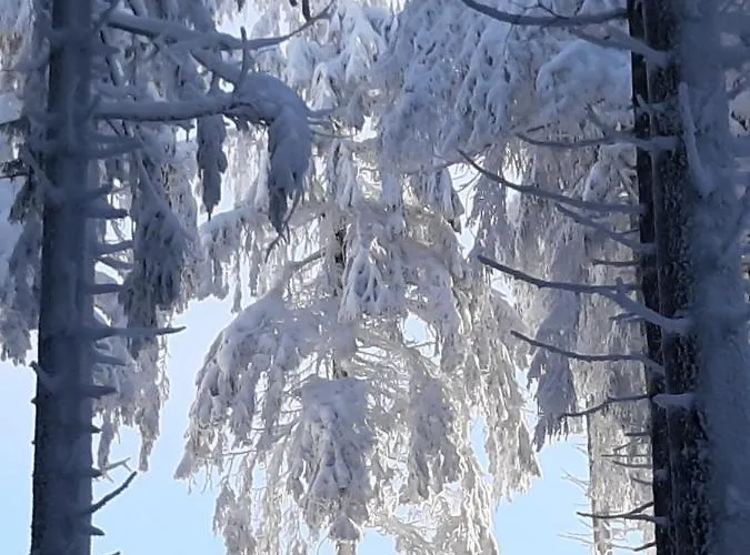 Okerhaus Vegetarische Mit Halbpension * Альтенау