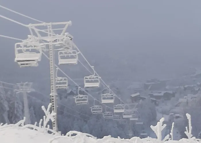 Okerhaus Vegetarische Mit Halbpension *